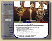 Business Consulting Interim Management